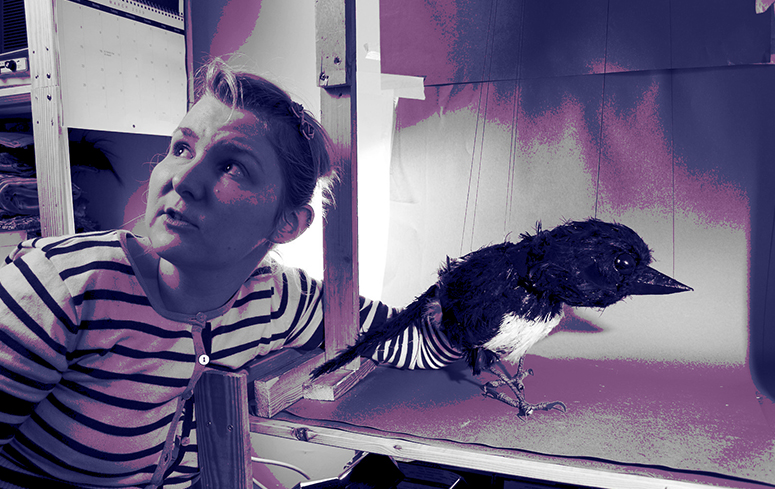 Studio green screening puppet